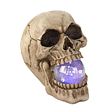 Skull Decor with LED Light-Up Orb