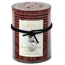 Scented Pillar Candle - 3X4 Cranberry Spiced Pomander